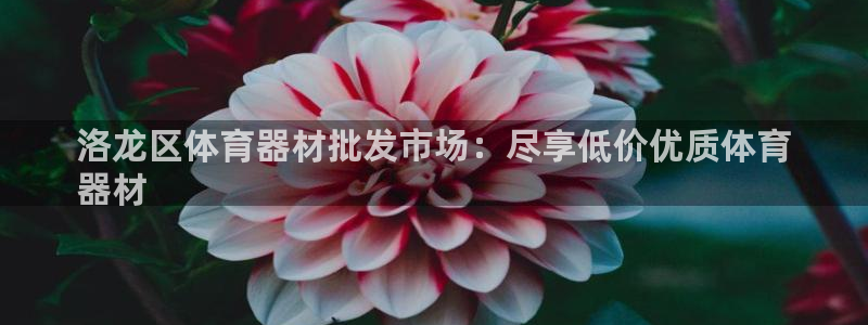 富联娱乐总代理是谁:洛龙区体育器材批发市场:尽享低价优质体育