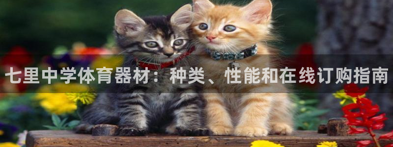 富联娱乐客户端app下载服务:七里中学体育器材:种类、性能和