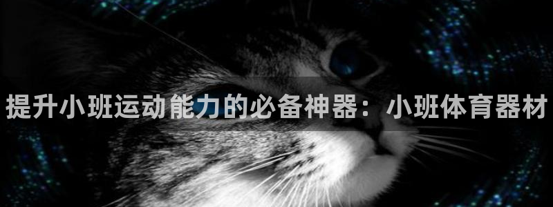 富联平台挂机怎么操作:提升小班运动能力的必备神器:小班体育器